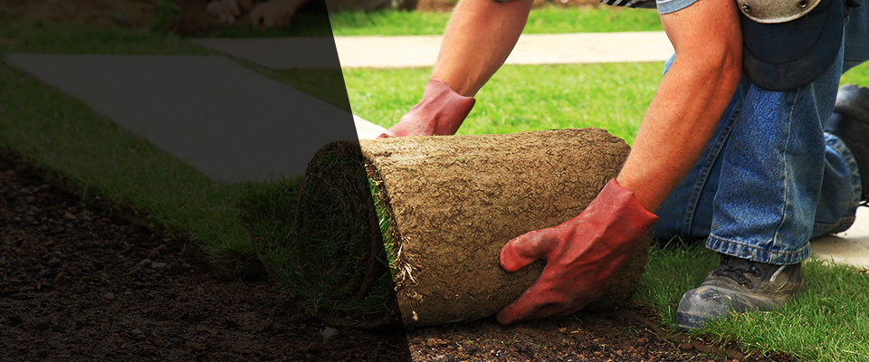 Ransomville Landscapers